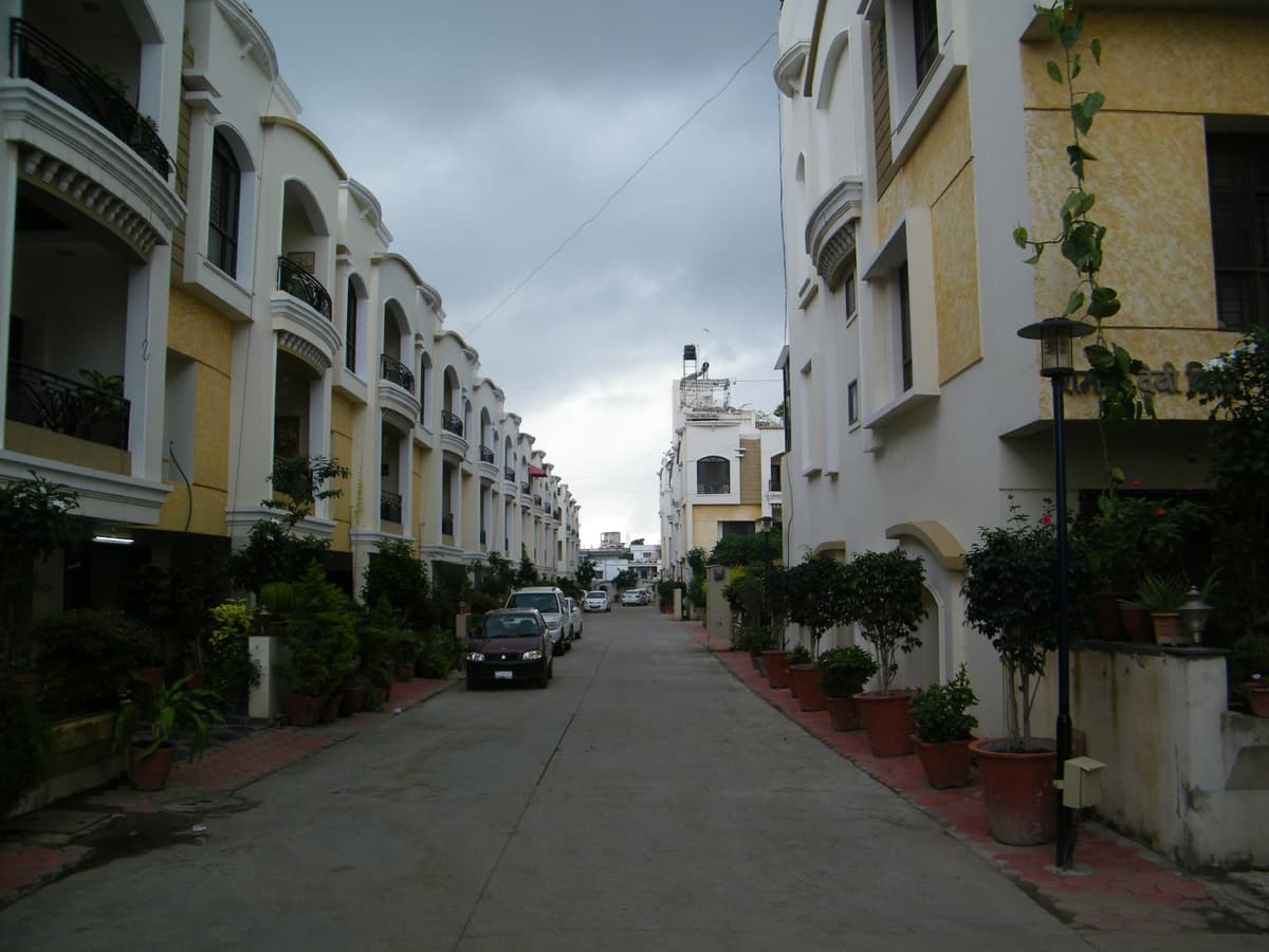 Meadows Group Project